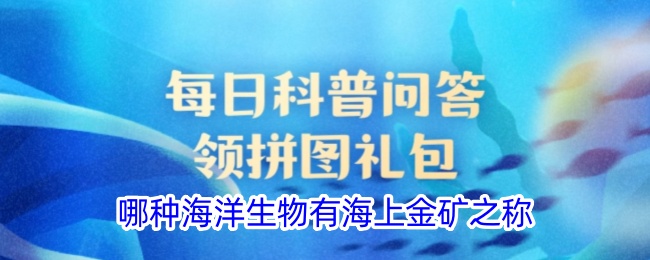 哪种海洋生物有海上金矿之称