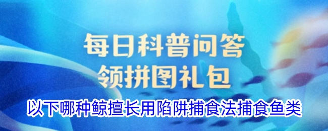 以下哪种鲸擅长用陷阱捕食法捕食鱼类