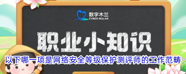 以下哪一项是网络安全等级保护测评师的工作范畴