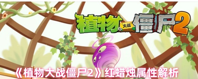 《植物大战僵尸2》红蜡烛属性解析