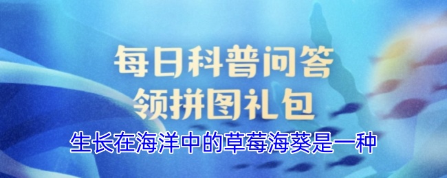 生长在海洋中的草莓海葵是一种