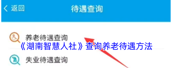 《湖南智慧人社》查询养老待遇方法