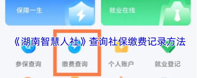 《湖南智慧人社》查询社保缴费记录方法