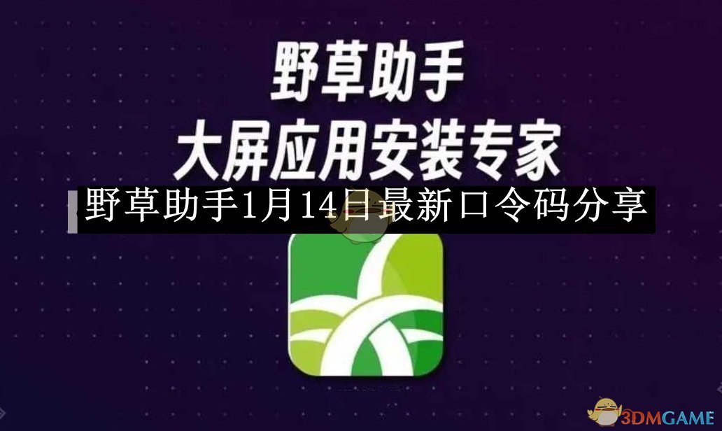 《野草助手》1月14日最新口令码分享