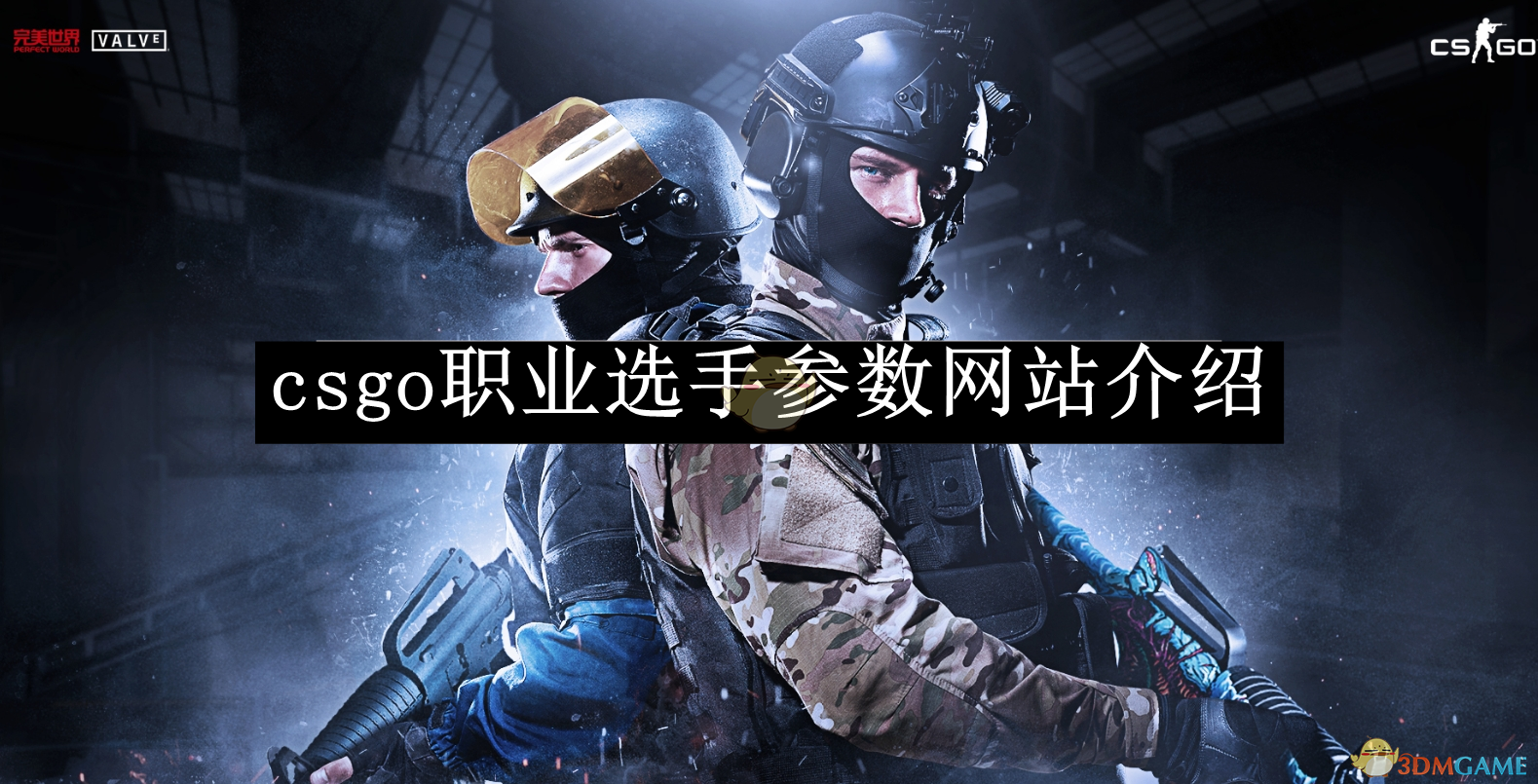 《csgo》职业选手参数网站介绍