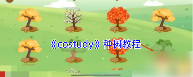 《costudy》种树教程