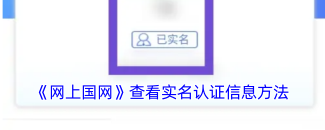 《网上国网》查看实名认证信息方法