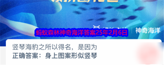 竖琴海豹之所以得名，是因为