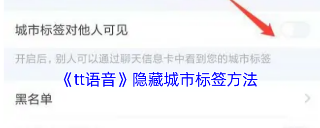 《tt语音》隐藏城市标签方法