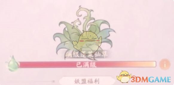 《寻道大千》蓬莱仙岛打法攻略