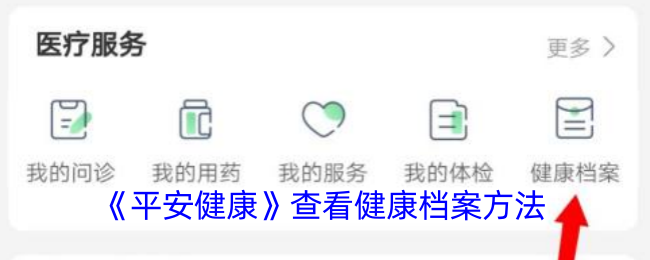 《平安健康》查看健康档案方法