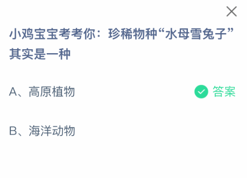 小鸡宝宝考考你：珍稀物种“水母雪兔子”其实是一种