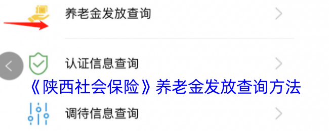 《陕西社会保险》养老金发放查询方法