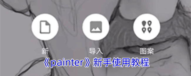 《painter》新手使用教程