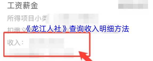 《龙江人社》查询收入明细方法