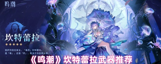 鸣潮坎特蕾拉武器怎么选 坎特蕾拉武器推荐