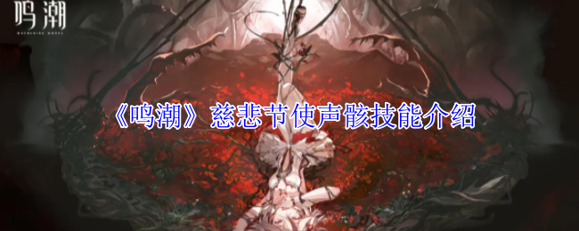 鸣潮慈悲节使声骸有什么技能 慈悲节使声骸技能介绍