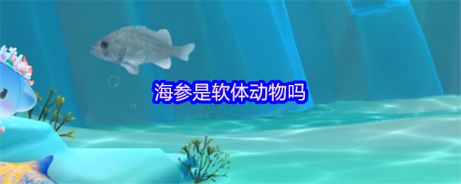 海参是软体动物吗