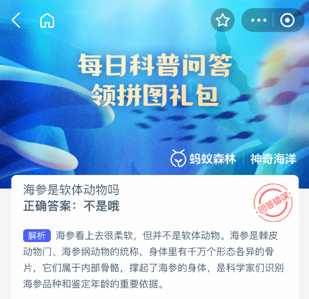 海参是软体动物吗