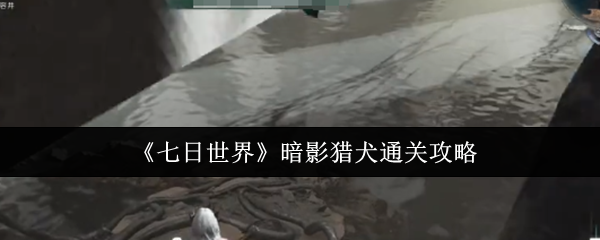 七日世界暗影猎犬通关攻略