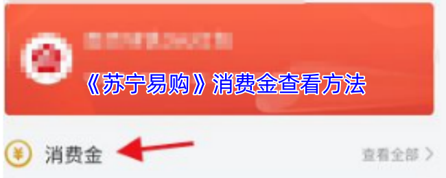 《苏宁易购》消费金查看方法
