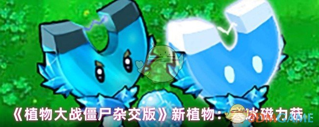 植物大战僵尸杂交版寒冰磁力菇怎么样 新植物：寒冰磁力菇