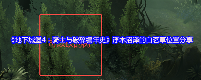 《地下城堡4：骑士与破碎编年史》浮木沼泽的白茗草位置分享