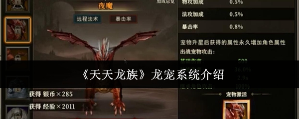 《天天龙族》龙宠系统介绍