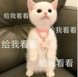 艾格勒姆免票，积分换旧帝国神船，拉格探险黄金时代开启！