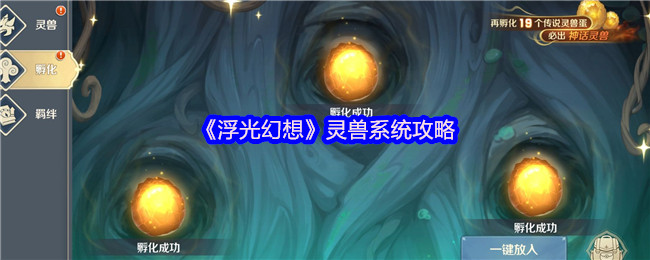 浮光幻想灵兽系统攻略