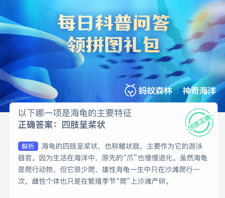 以下哪一项是海龟的主要特征