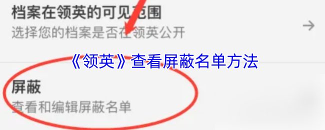 《领英》查看屏蔽名单方法