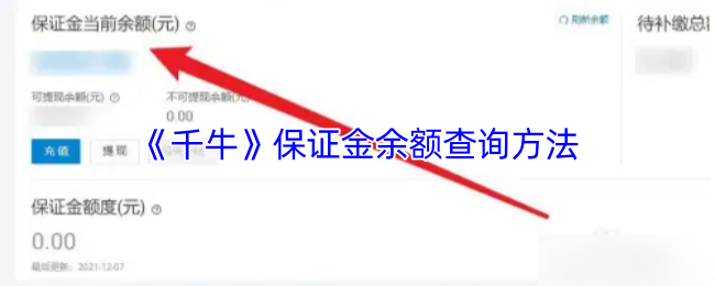 《千牛》保证金余额查询方法