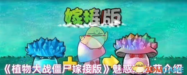 《植物大战僵尸嫁接版》魅惑寒冰菇介绍
