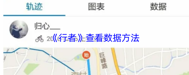 《行者》查看数据方法