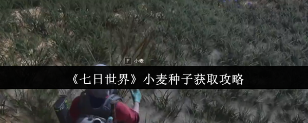 《七日世界》小麦种子获取攻略