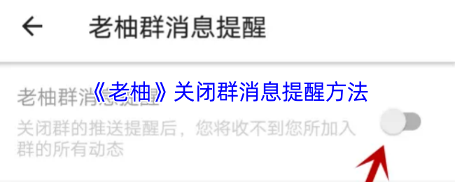 《老柚》关闭群消息提醒方法