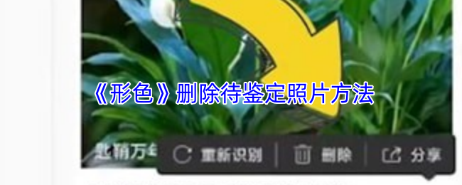 《形色》删除待鉴定照片方法