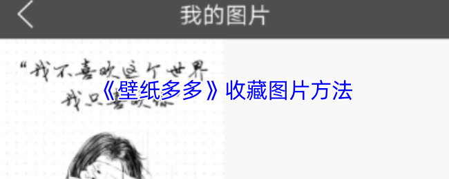 《壁纸多多》收藏图片方法