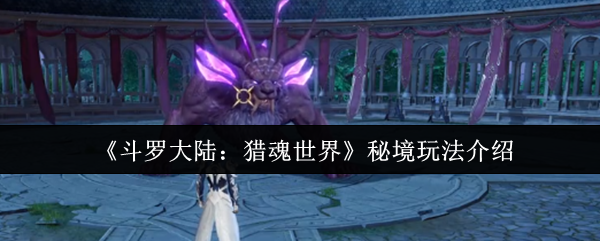 《斗罗大陆：猎魂世界》秘境玩法介绍