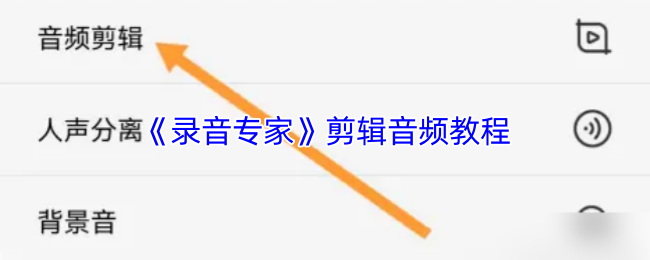 《录音专家》剪辑音频教程