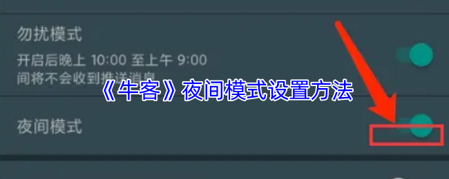 《牛客》夜间模式设置方法