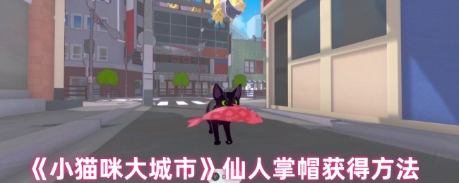 《小猫咪大城市》仙人掌帽获得方法