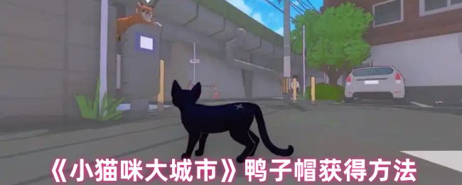 《小猫咪大城市》鸭子帽获得方法