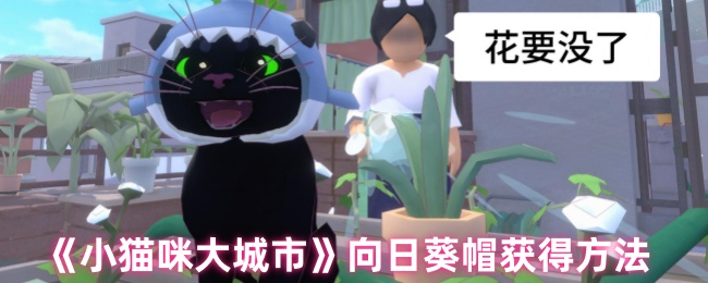 《小猫咪大城市》向日葵帽获得方法