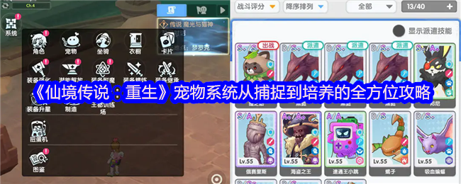 《仙境传说：重生》宠物系统从捕捉到培养的全方位攻略