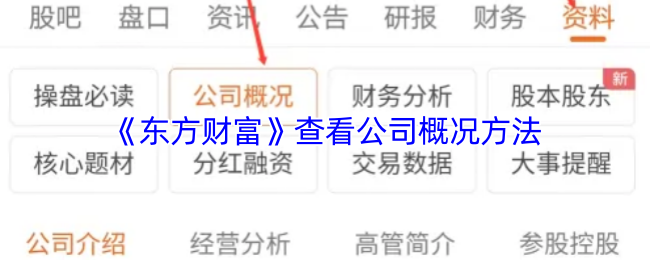 《东方财富》查看公司概况方法