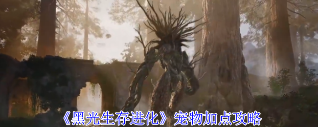 《黑光生存进化》宠物加点攻略