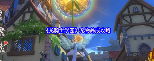 《龙骑士学园》宠物养成攻略