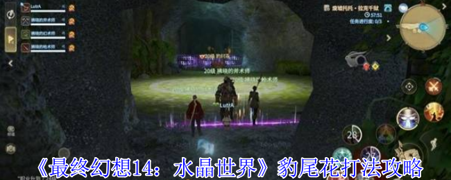 《最终幻想14：水晶世界》豹尾花打法攻略